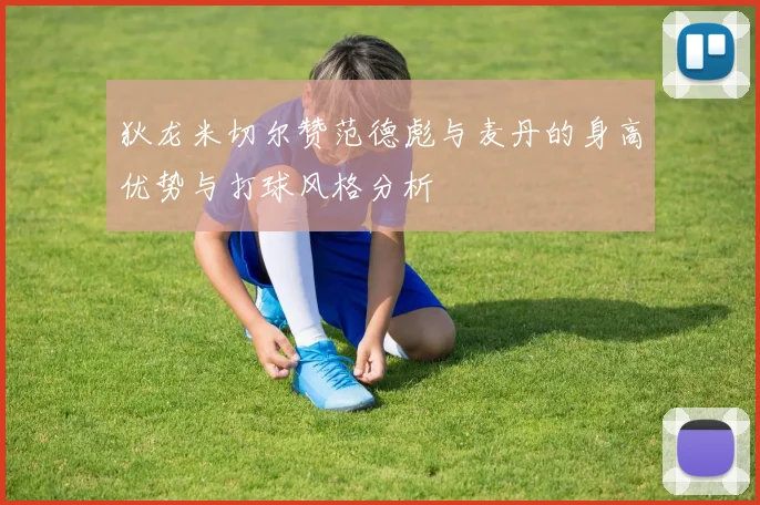 狄龙米切尔赞范德彪与麦丹的身高优势与打球风格分析