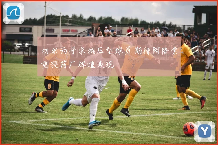 切尔西寻求抗压型球员期待阿隆索重现药厂辉煌表现