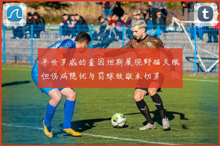 平价罗威的奎因坦斯展现野猫天赋但伤病隐忧与罚球致敬米切罗