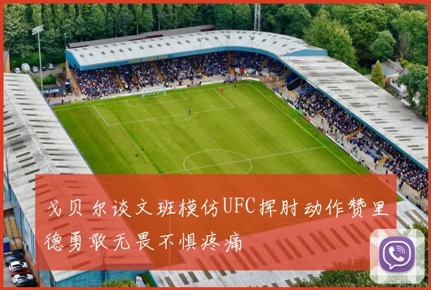 戈贝尔谈文班模仿UFC挥肘动作赞里德勇敢无畏不惧疼痛